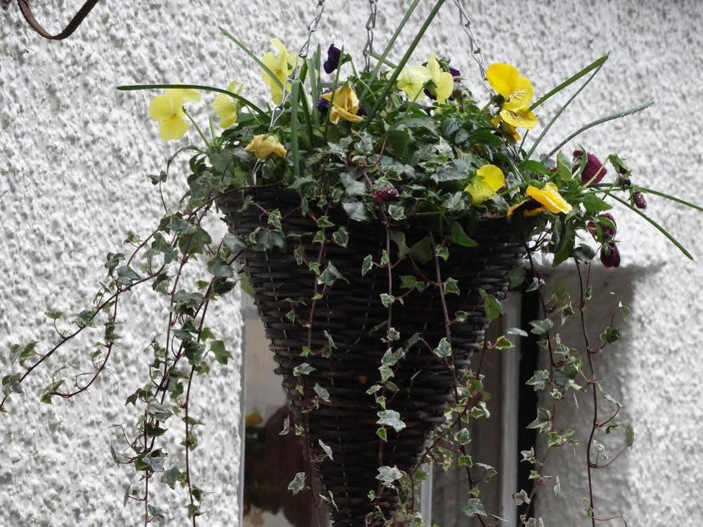 The Red Lion Hotel Oakford エクステリア 写真